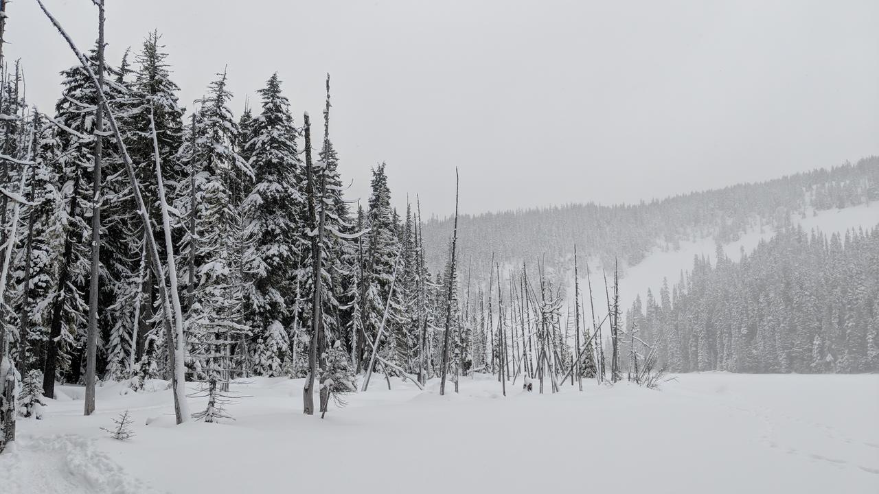 White Pass Log Cabin Luxury Retreat Rimrock Exteriör bild